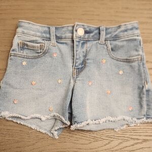 Embroidered Denim Shorts